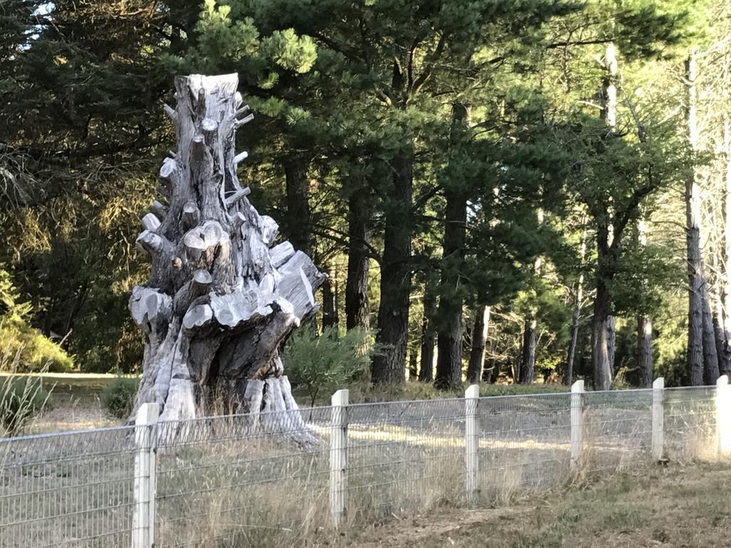 Helen'S Homestead Enfield Екстер'єр фото
