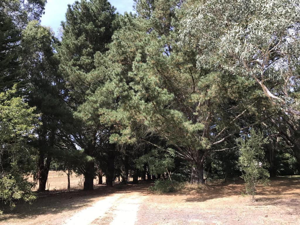 Helen'S Homestead Enfield Екстер'єр фото