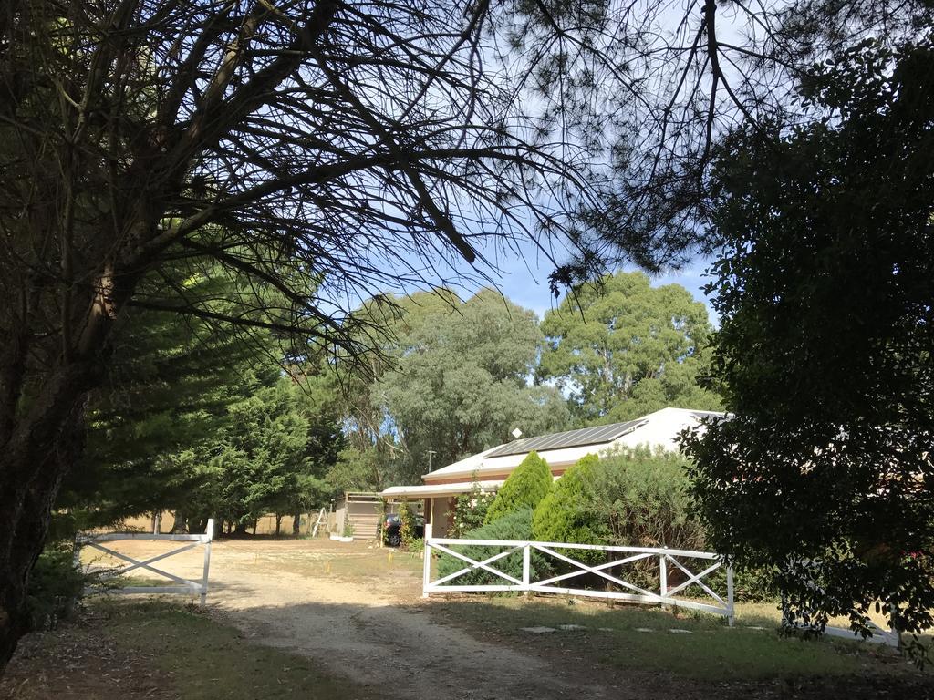 Helen'S Homestead Enfield Екстер'єр фото